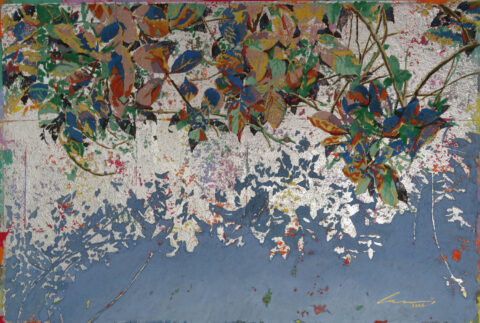 Gorgeous Leaves 葉之華