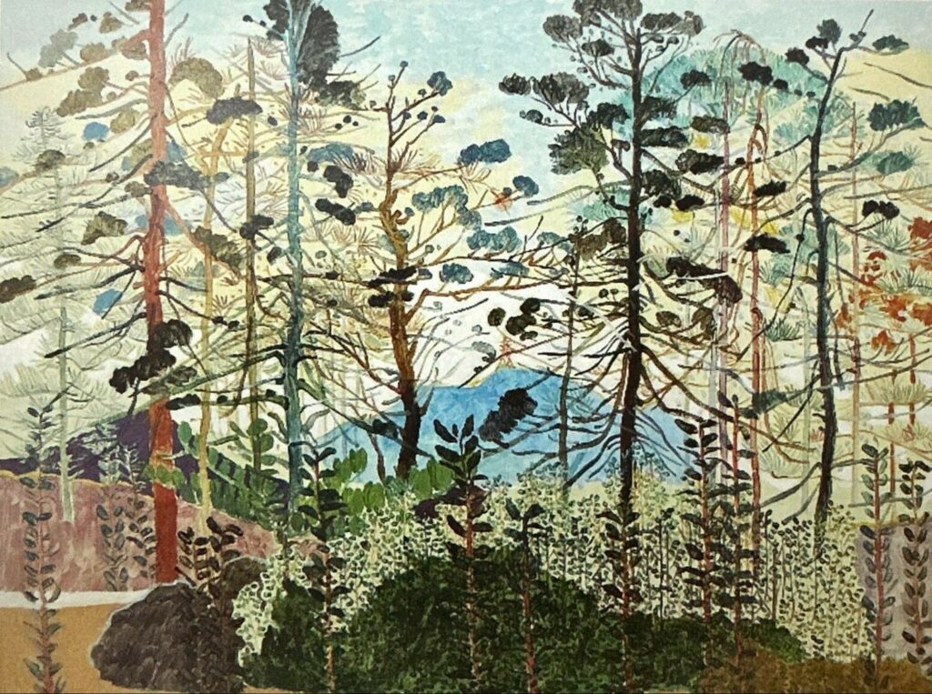 馬尾松林