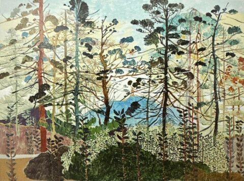 馬尾松林
