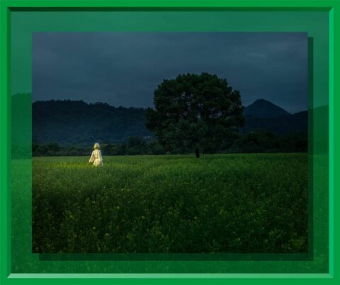 I Am Not Me: Dream Series No. 2 我非我：夢系列No.2 (6/12)