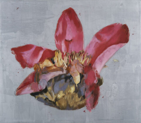Kapok Series No.45 木棉花系列45號