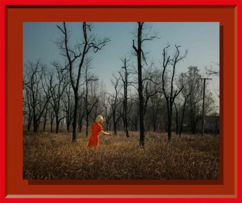 I Am Not Me: Dream Series No. 1 我非我：夢系列No.1 (5/12)