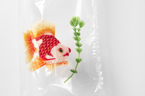 Embroidery on Plastic Bags – Hong Kong Goldfish Street 2 #58